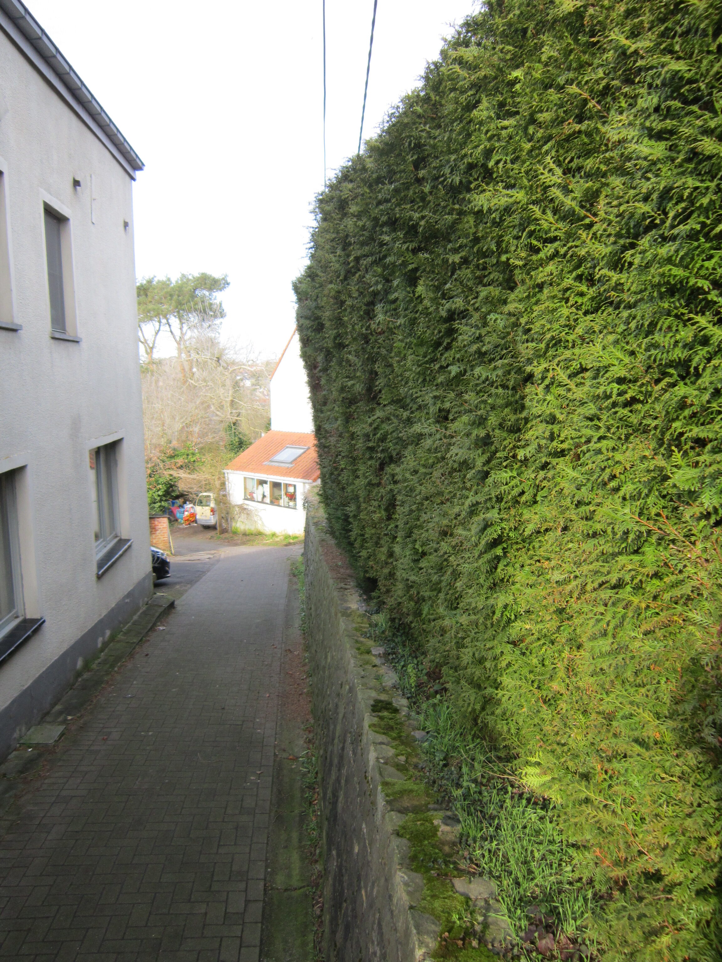 Na 18